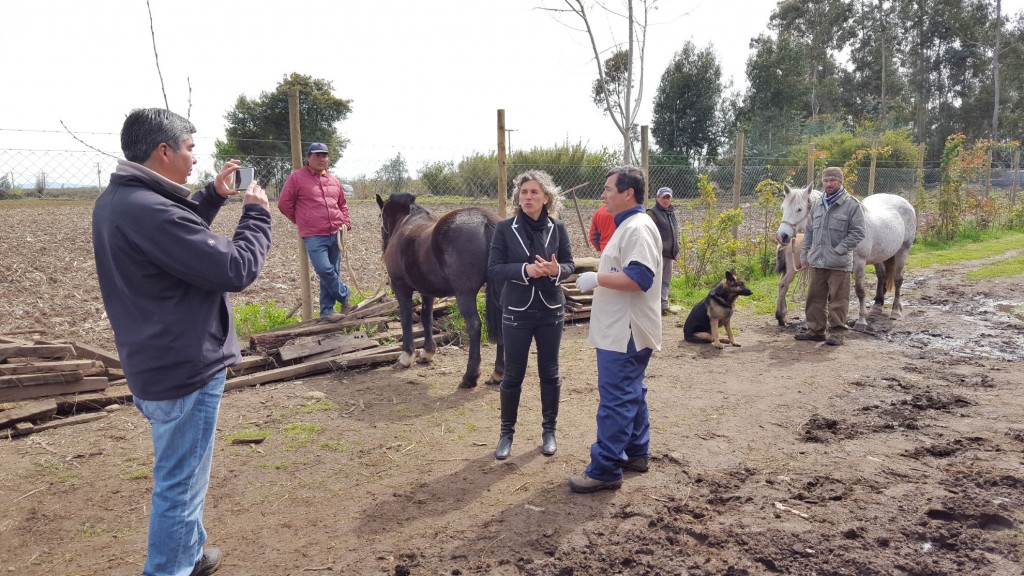 alcaldesa-con-veterinario