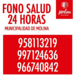 fono-salud-ins-molina