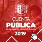 ins-cuenta-publica-2019-IM-Molina