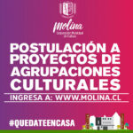postulacion-a-proyectos-cultura-2020-ins