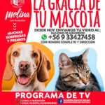 concurso-la-gracia-de-tu-mascota
