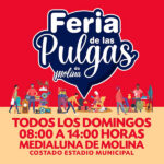 feria-de-las-pulgas