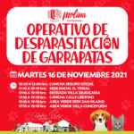 desparacitacion-garraátas