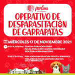 desparasitacion-17112021