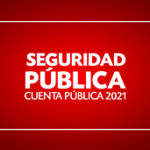 seguridad publica