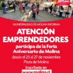 convocatoria emprendedores