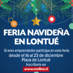 feria navidad