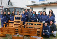 Derribando barreras: mujeres de Molina se capacitan en taller de carpintería