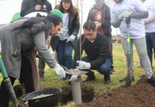 Pulmón verde en la ciudad: reforestan popular villa de Molina