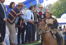 Molina cerró semana de Desfiles con más de 128 organizaciones marchando por la ciudad