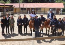 Piloto de equinoterapia del programa HPV de JUNAEB realiza cierre  comunal en Molina