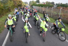 Por primera vez en su historia: dan primer paso para proyecto de ciclovías en Molina