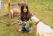 Animales, tradiciones y ambiente familiar: Invitan a la Granja Fest en Molina este domingo 26