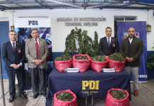 Alcalde de Molina destaca: “se sacó de circulación droga que podría haber llegado a las poblaciones”